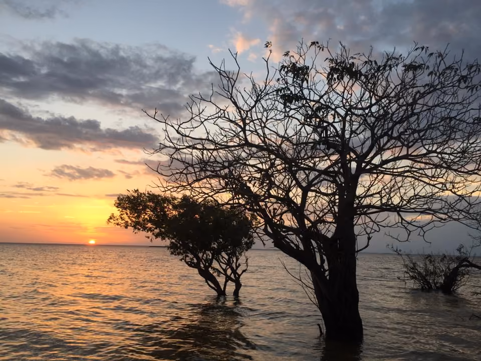 Vegetação alagada da Área de Proteção Ambiental de Alter do Chão, às margens do Rio Tapajós, ao entardecer