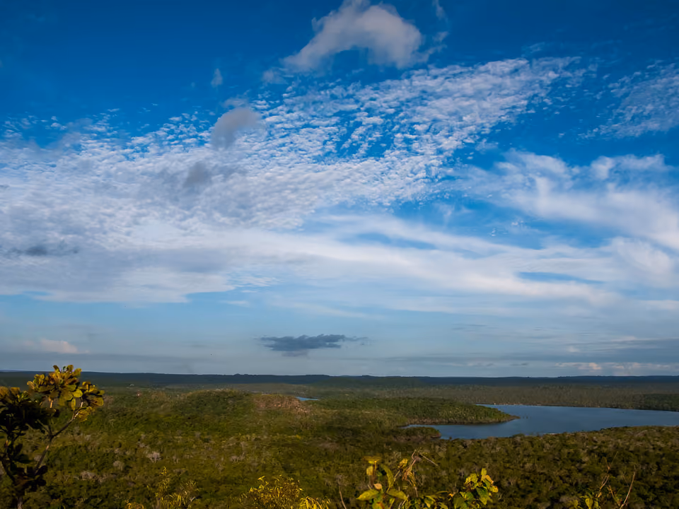 Vegetação densa de mata amazônica preservada na Floresta Nacional do Tapajós