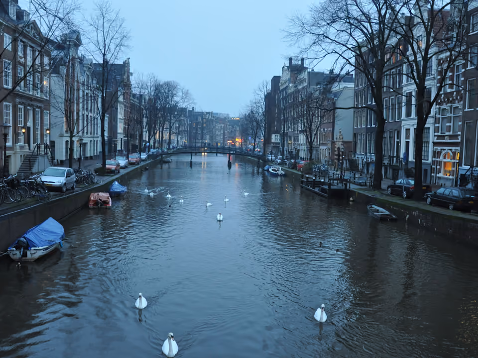 Canal do Grachtengordel em Amsterdã ladeado por casas históricas estreitas, com cisnes nadando na água ao entardecer