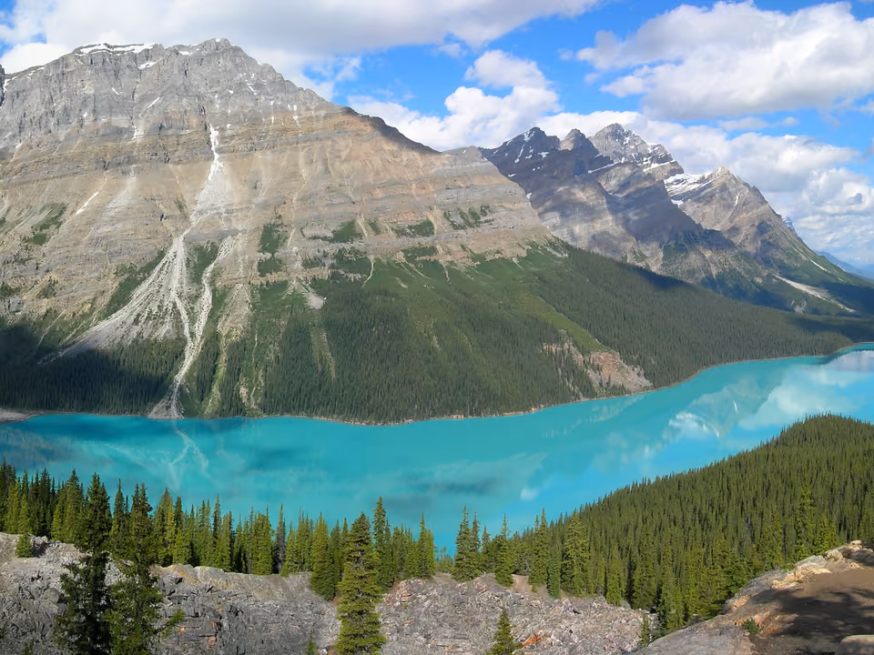 Peyto Lake visto do mirante, em Banff, com formato de raposa e água azul intensa