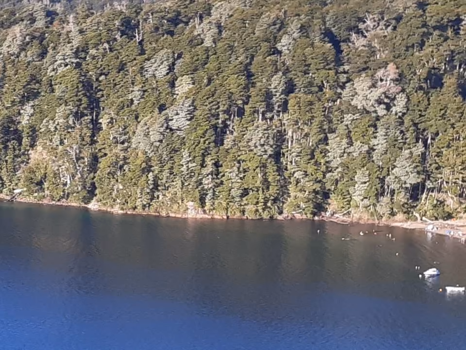Estrada da Ruta de los Siete Lagos entre Bariloche e San Martín de los Andes cortando floresta nativa, com um lago visível ao fundo
