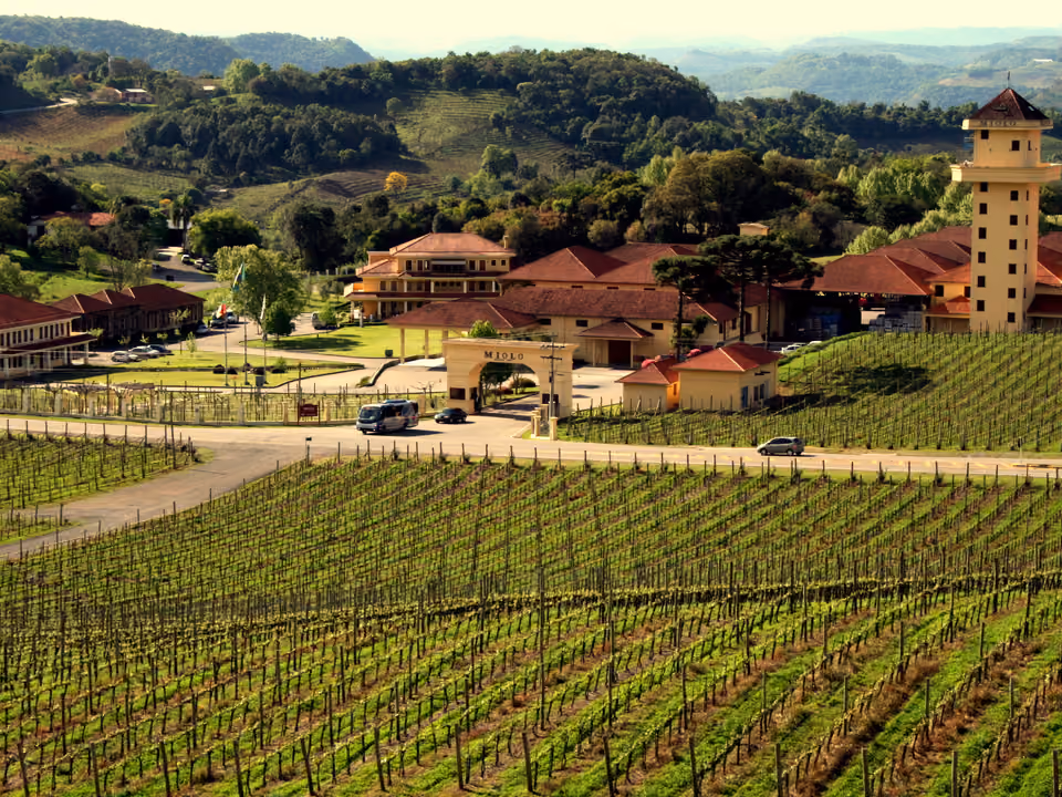 Vinícola Miolo, com torre característica e vinhedo em primeiro plano, no Vale dos Vinhedos