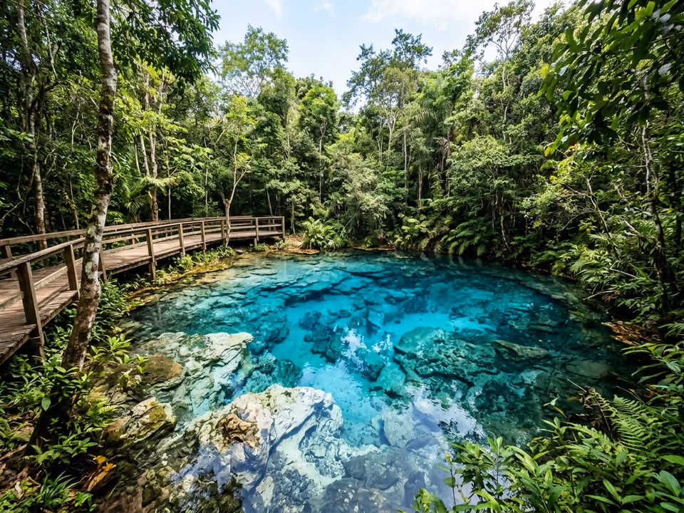 Água azul-turquesa da Nascente Azul brotando do fundo, com troncos submersos visíveis sob a superfície transparente