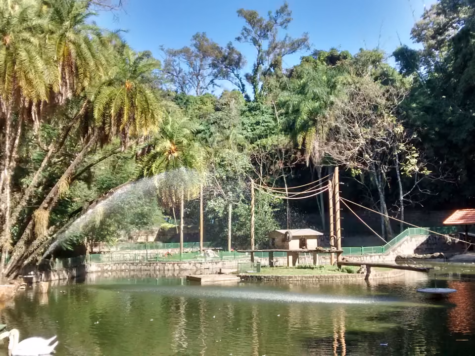 Lago com cisne e fonte entre árvores no Bosque dos Jequitibás, em Campinas