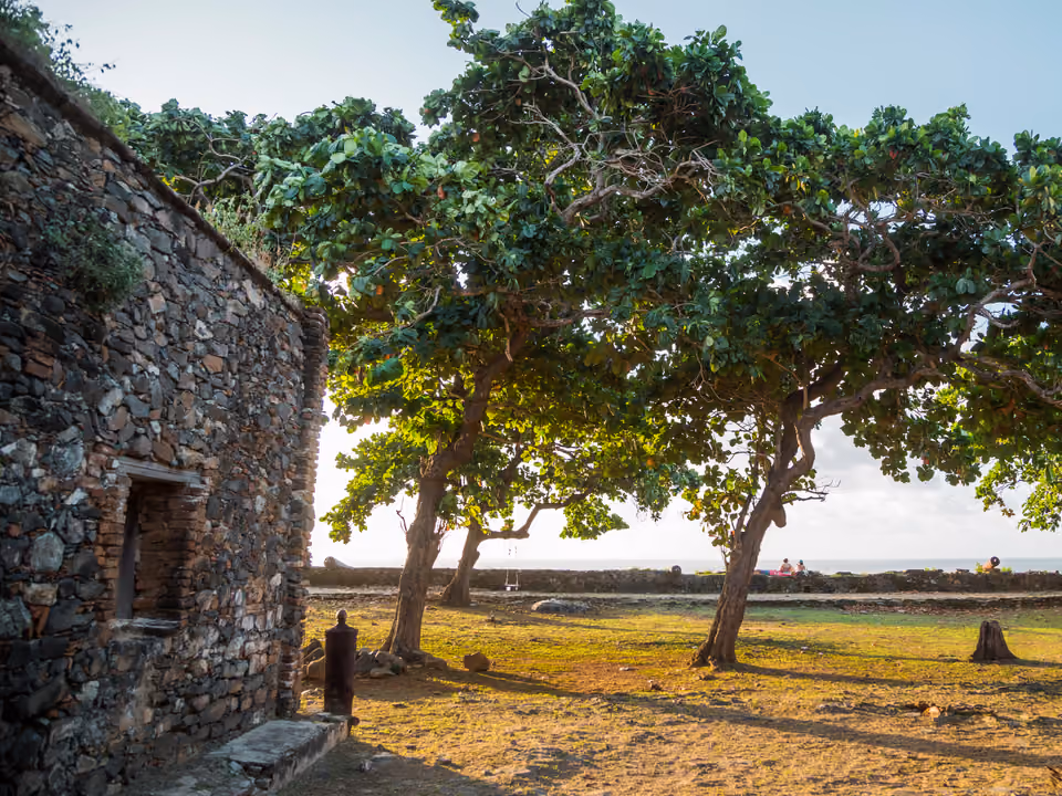 Ruínas do Forte de Nossa Senhora dos Remédios em Fernando de Noronha, muro de pedra e um canhão antigo no pátio gramado sob árvores, com o mar ao fundo na luz do fim de tarde