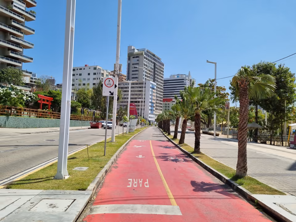 Calçadão e ciclovia da Avenida Beira-Mar em Fortaleza, com coqueiros e prédios da orla em dia de sol