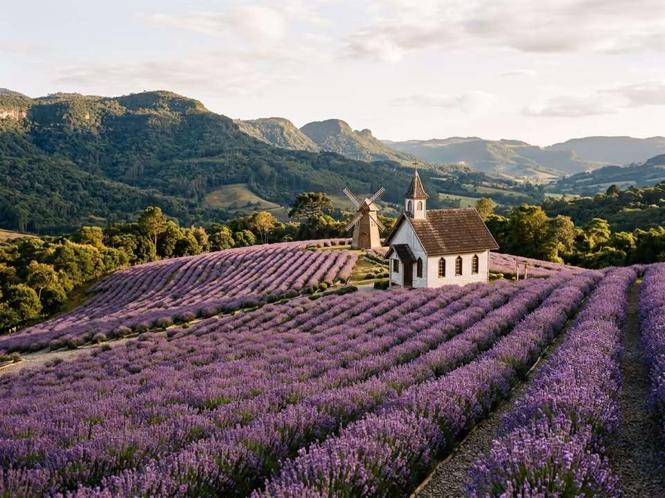 Fileiras de lavanda florida no Le Jardin, com as colinas da Serra Gaúcha ao fundo