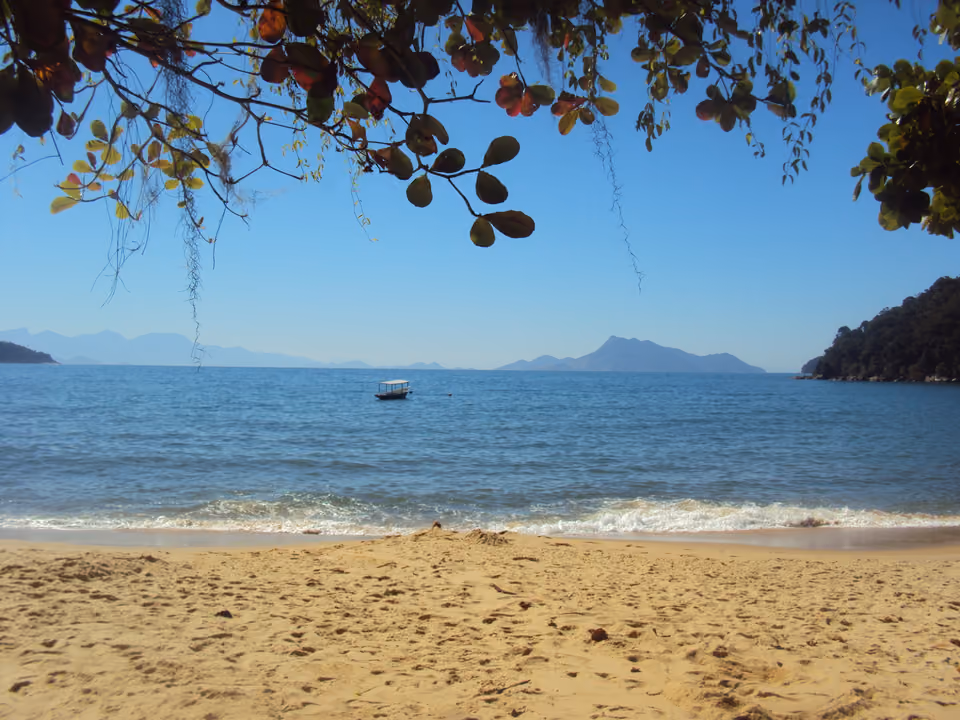 Praia de Palmas com águas calmas e vegetação densa na Ilha Grande
