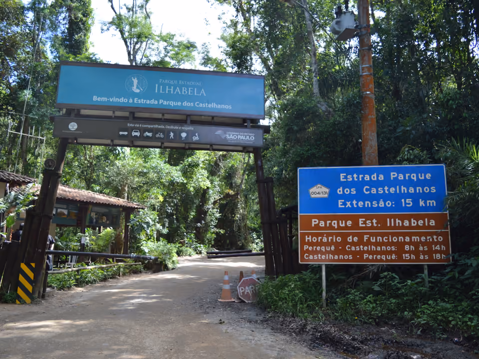Mata atlântica do Parque Estadual de Ilhabela, imagem ilustrativa — não é a Cachoeira das Tocas especificamente