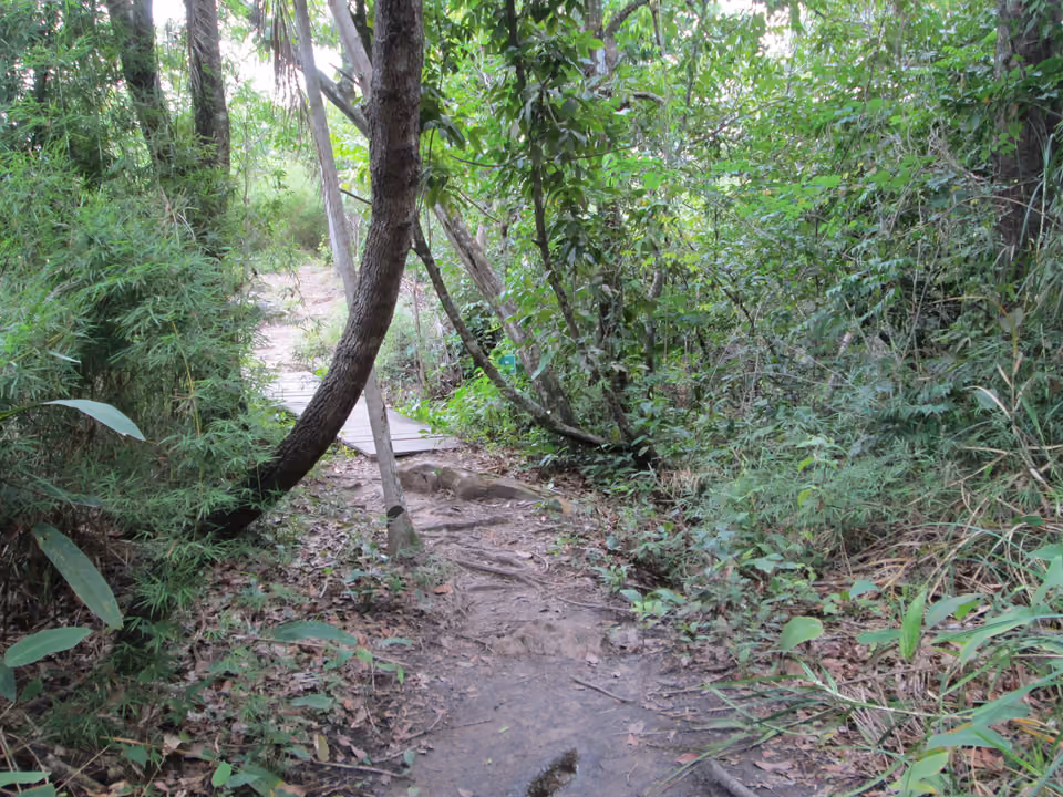 Trilha de acesso à prainha próxima à Cachoeira da Velha, no Jalapão