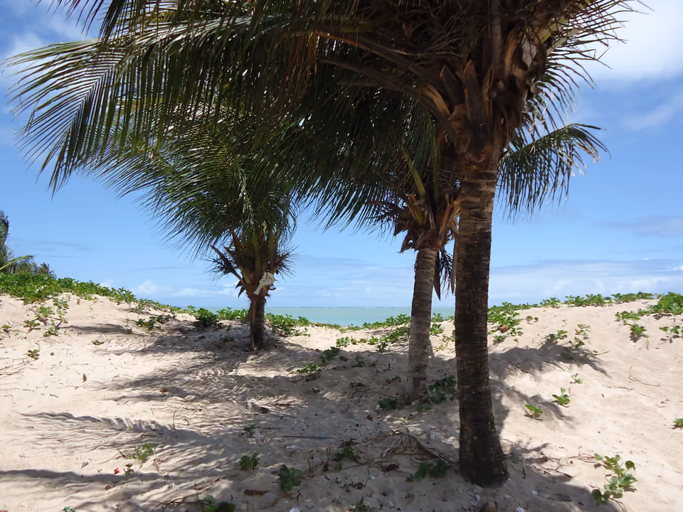 Orla da Praia de Tambaú em João Pessoa, com calçadão e coqueiros