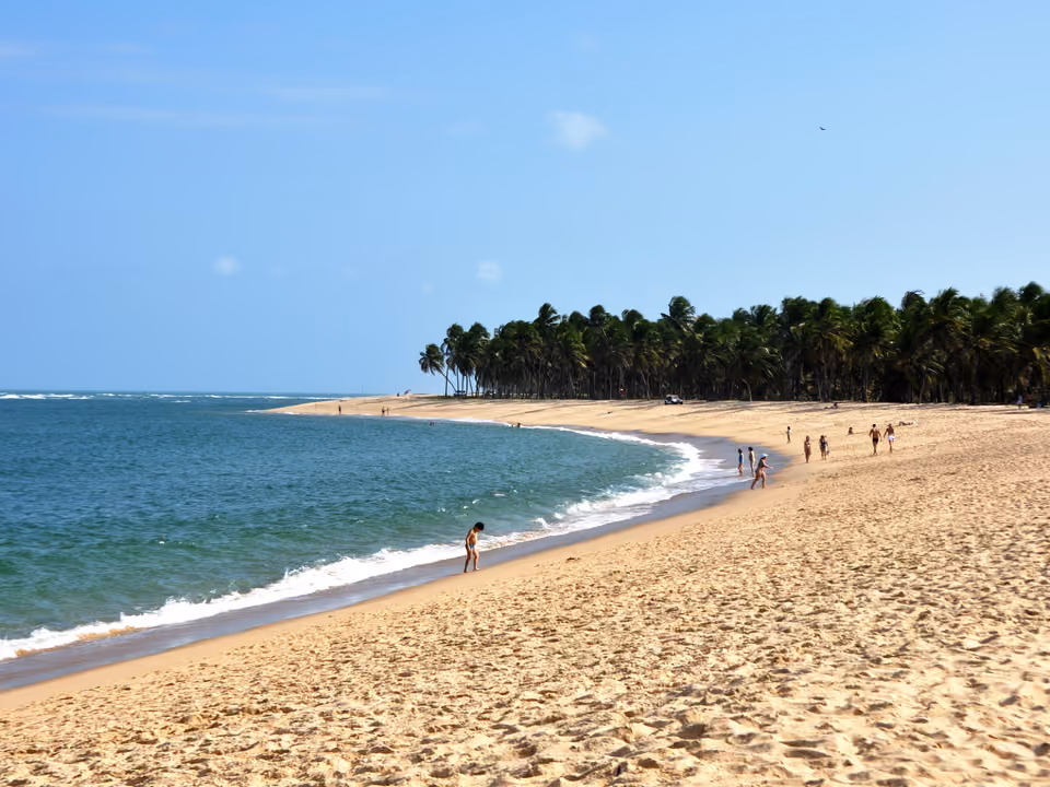 Praia do Gunga vista do alto de uma falésia, com mar azul-turquesa e coqueiros