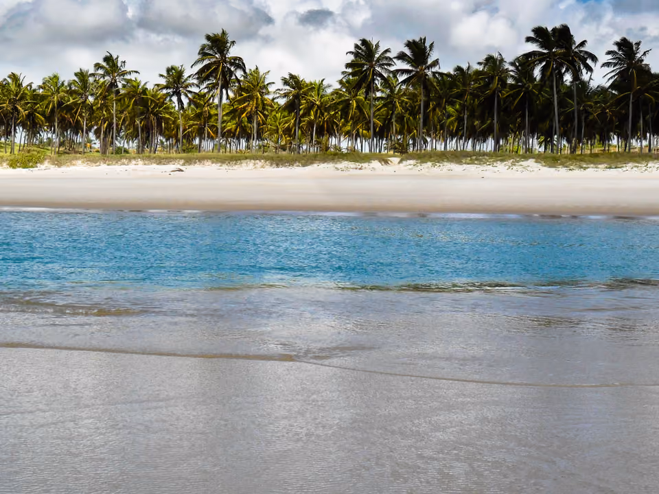 Praia com coqueiros e piscina natural de água clara, imagem ilustrativa — não confirmada como a Praia do Francês