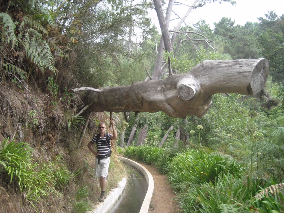 Caminhante em trilha ao lado de uma levada (canal de irrigação) em meio à floresta de Madeira