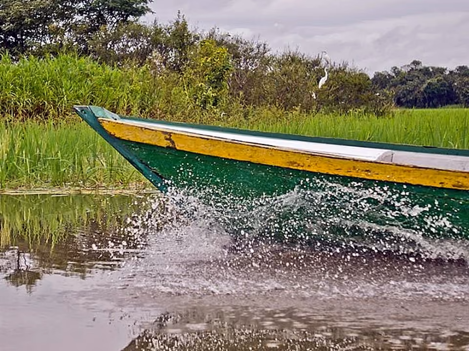 Proa de uma canoa de madeira cortando a água de um igarapé na Amazônia, com vegetação densa na margem