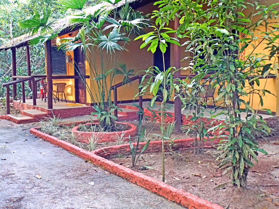 Bangalô de um lodge de selva na Amazônia, com telhado de palha e varanda cercada por vegetação densa