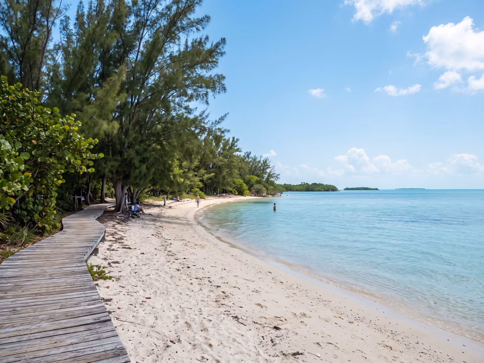 Água calma e transparente de Key Biscayne, com pinheiros na orla e nenhum prédio no horizonte