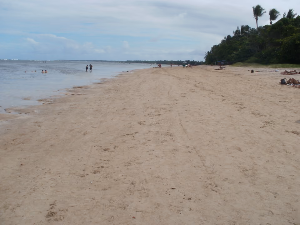 Extensão de areia e coqueiro da Quarta Praia, em Morro de São Paulo