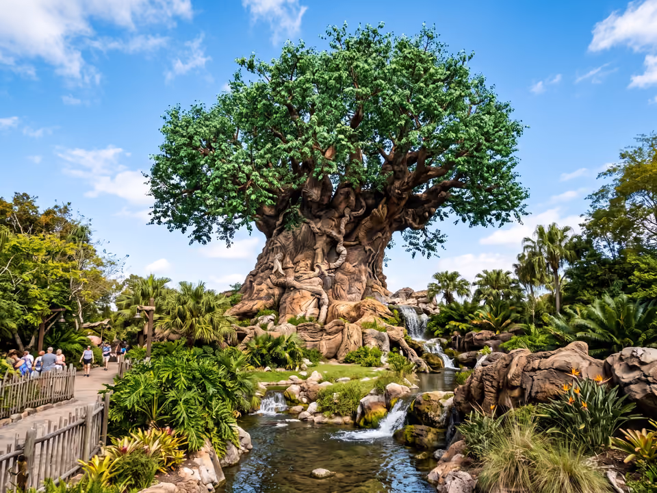 Tree of Life no Animal Kingdom, tronco esculpido e entalhado cercado por um riacho com pequena cachoeira