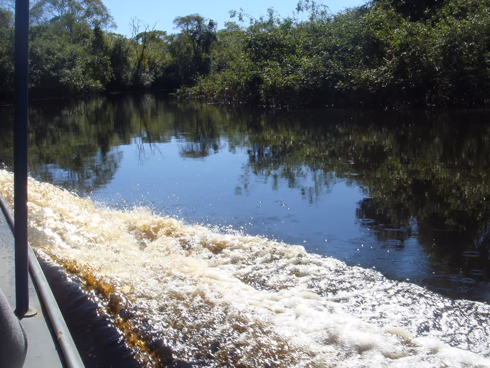 Vista da proa de um barco navegando por um rio calmo do Pantanal, cercado de mata ciliar