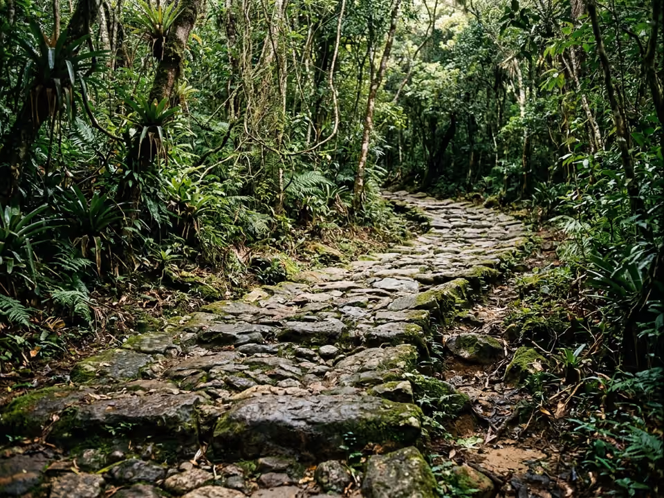 Calçamento de pedra colonial do Caminho do Ouro serpenteando a mata atlântica com pedras cobertas de musgo