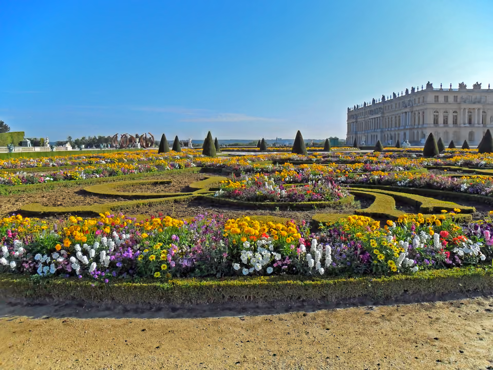 Jardins geométricos de Versalhes com canteiros floridos e topiária cônica, e a ala do palácio ao fundo à direita