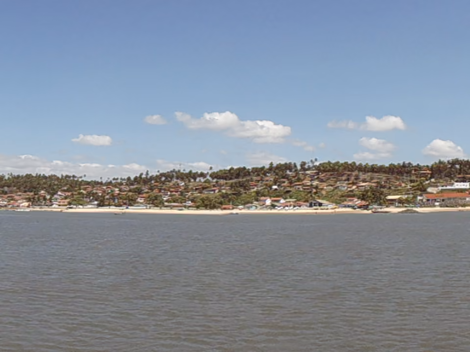 Foz do rio na Barra do Cunhaú, perto de Pipa, com vegetação de manguezal