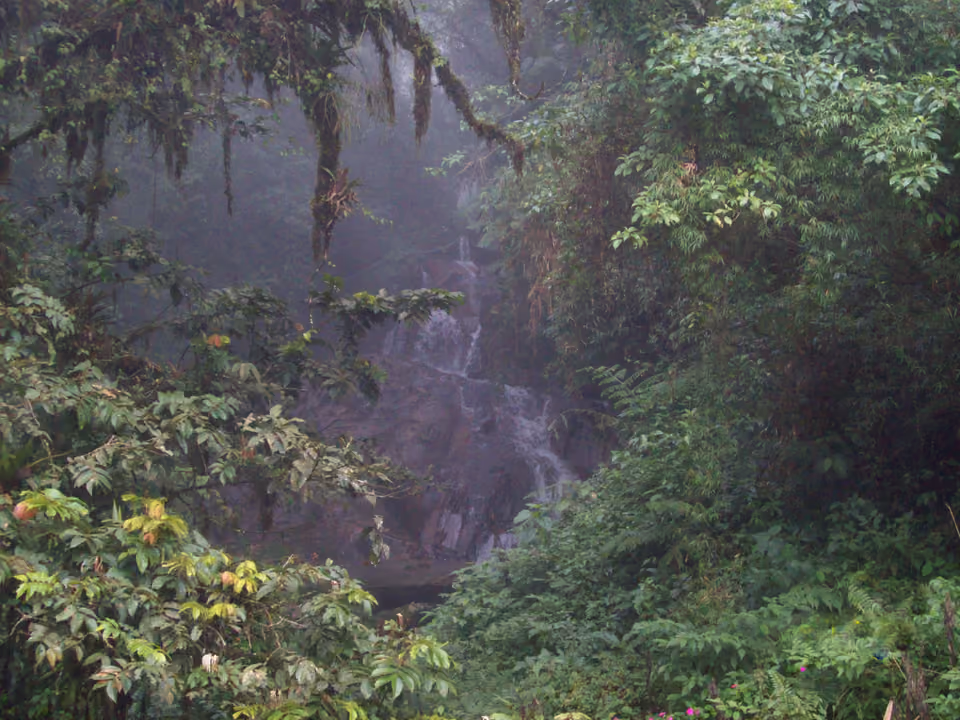 Cachoeira em meio à mata atlântica preservada, no Nordeste brasileiro