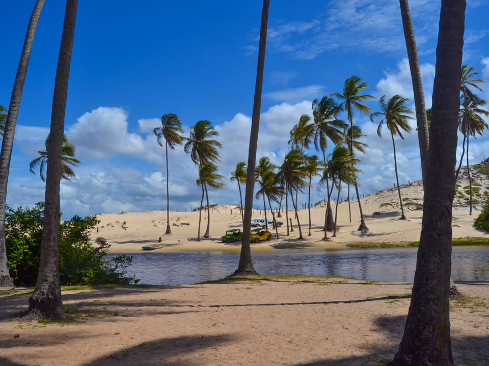 Coqueiros à beira de lagoa e duna, no litoral do Rio Grande do Norte