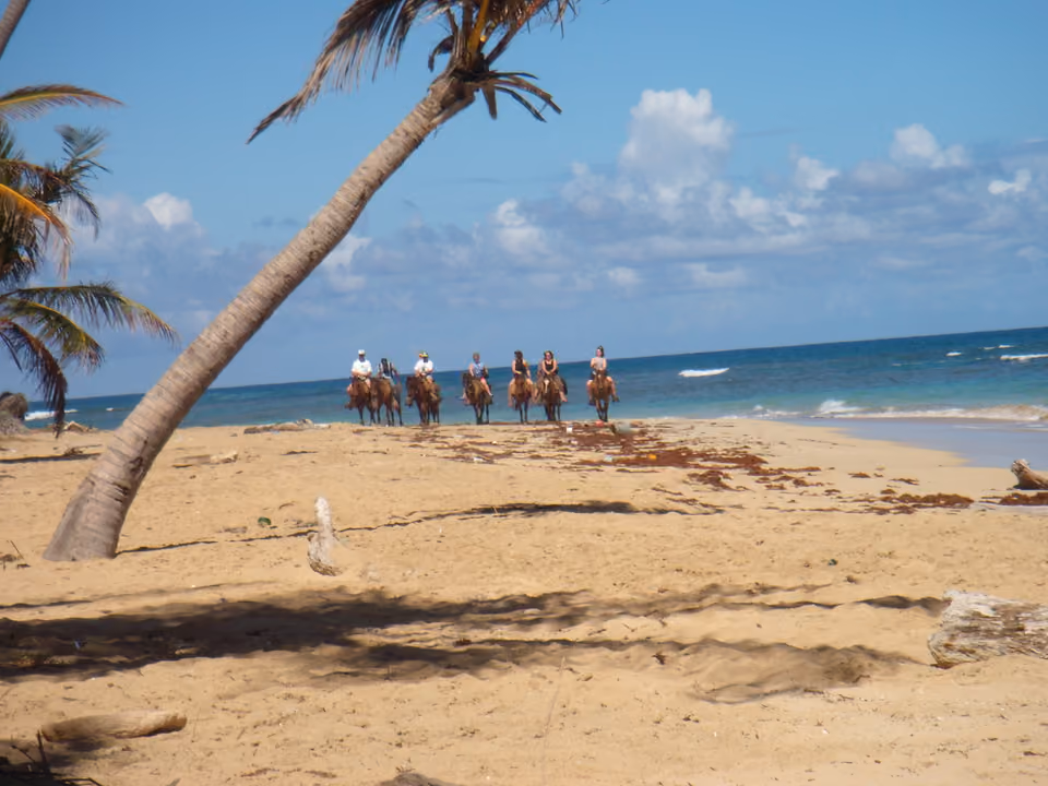 Grupo de cavaleiros passeando a cavalo pela faixa de areia em Punta Cana, com coqueiro em primeiro plano