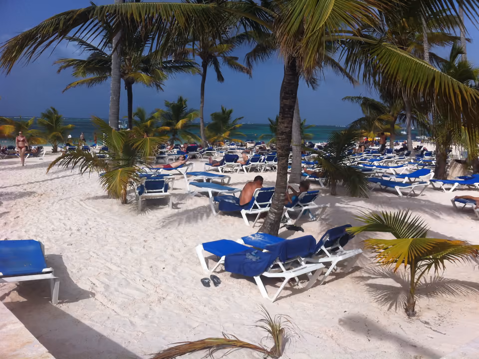 Espreguiçadeiras à sombra de coqueiros na Playa Bibijagua, em Punta Cana