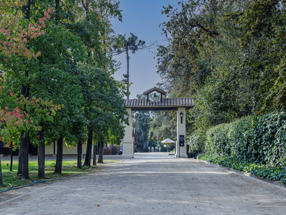 Alameda arborizada levando ao portão de entrada da vinícola Concha y Toro, em Pirque, no Vale do Maipo