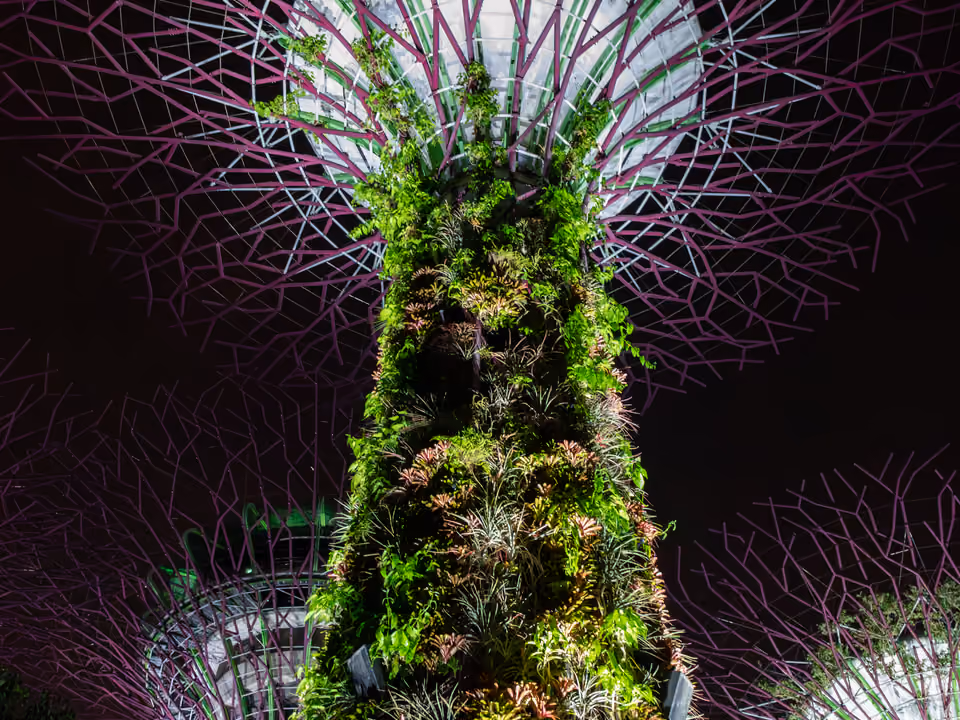 Supertrees iluminados dos Gardens by the Bay, em Singapura, à noite