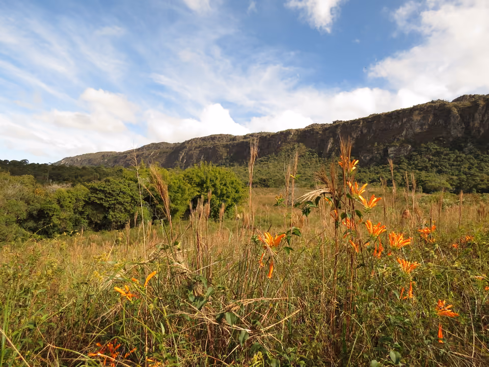 Vista da Serra de São José, em Tiradentes, com vegetação de mata atlântica