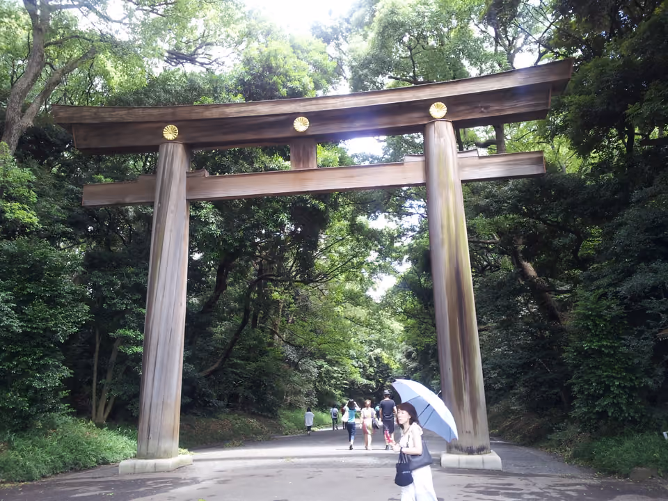Portão torii de madeira na entrada do Santuário Meiji Jingu, em Tóquio, cercado por floresta