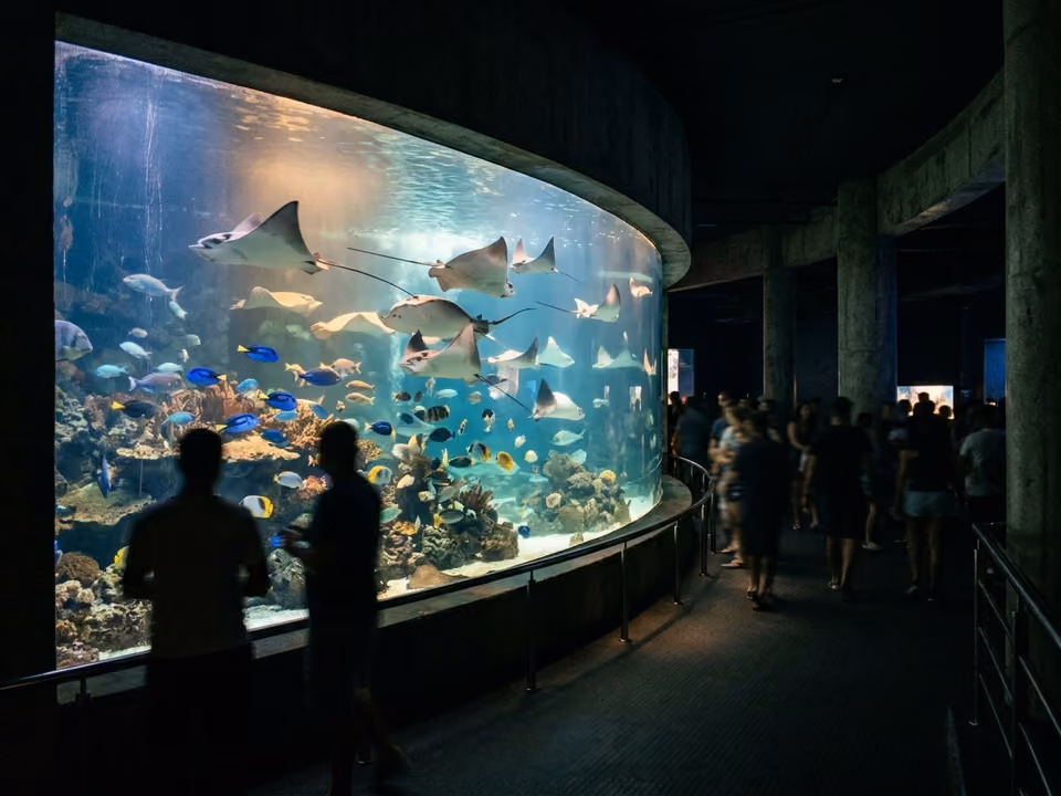 Salão escuro de aquário com tanque iluminado de raias e peixes de recife