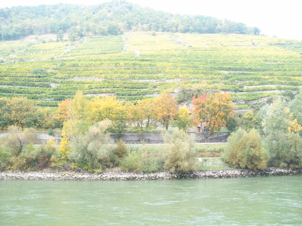 Vinhedos em terraços no Vale do Wachau, na Áustria, com o rio Danúbio serpenteando entre as colinas